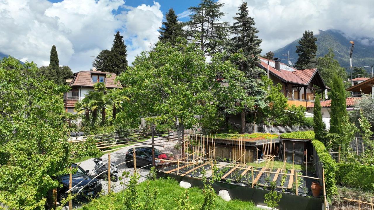 Nora S 2 - Panoramic Terrace & Bio Garden