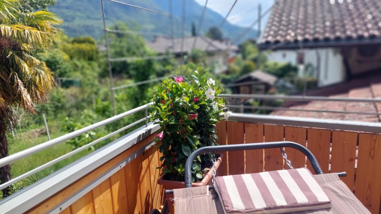 Nora S 2 - Panoramic Terrace & Bio Garden