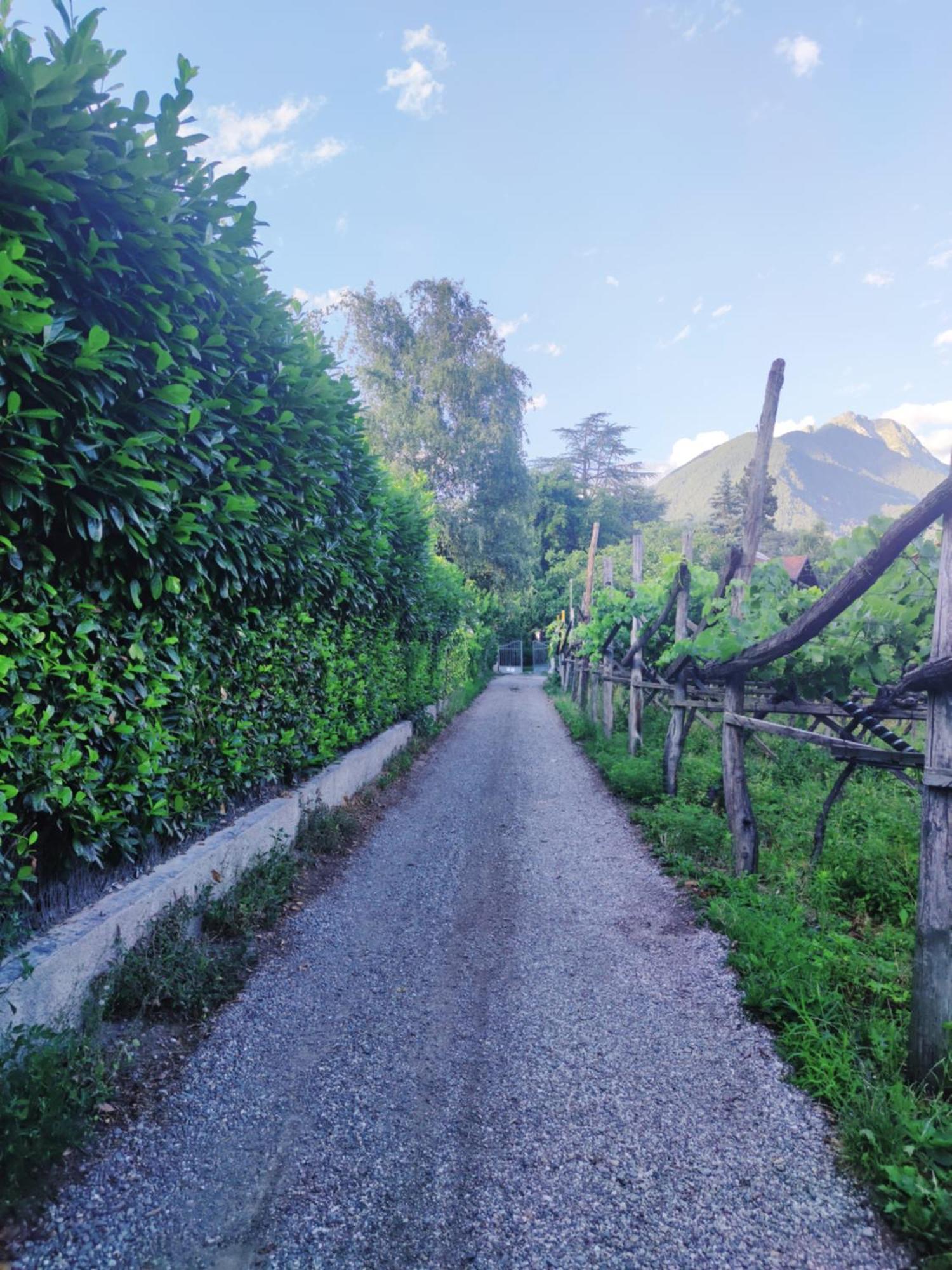 Nora S 2 - Panoramic Terrace & Bio Garden Apartment Merano