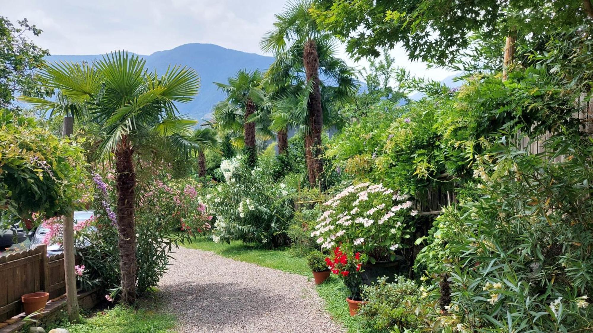 Nora S 2 - Panoramic Terrace & Bio Garden * Meran
